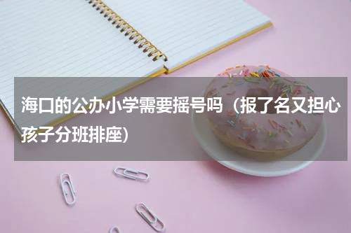海口的公办小学需要摇号吗（报了名又担心孩子分班排座）