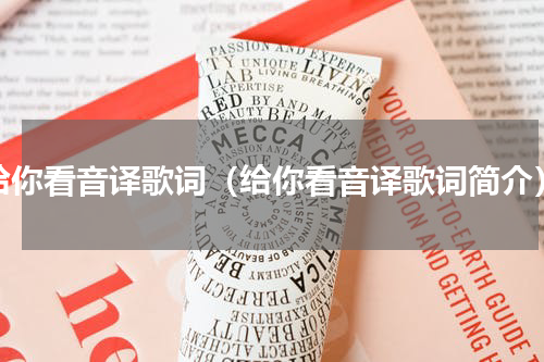给你看音译歌词（给你看音译歌词简介）