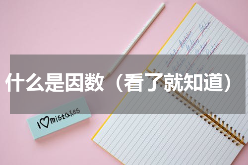 什么是因数（看了就知道）