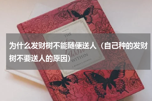 为什么发财树不能随便送人（自己种的发财树不要送人的原因）