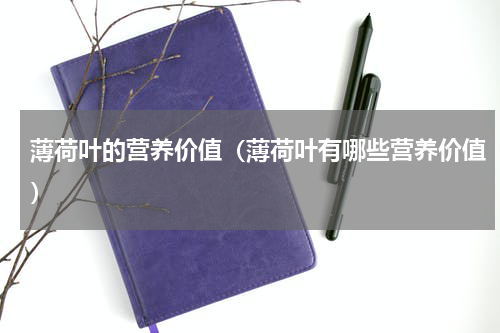 薄荷叶的营养价值（薄荷叶有哪些营养价值）