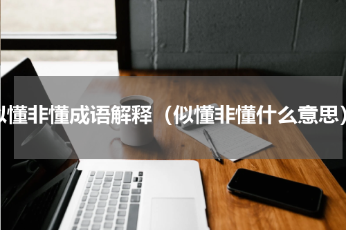 似懂非懂成语解释（似懂非懂什么意思）