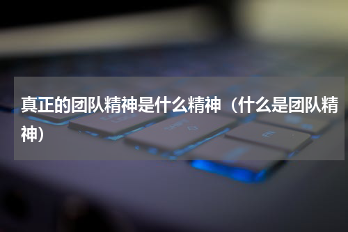 真正的团队精神是什么精神（什么是团队精神）
