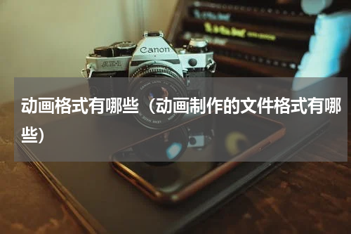 动画格式有哪些（动画制作的文件格式有哪些）