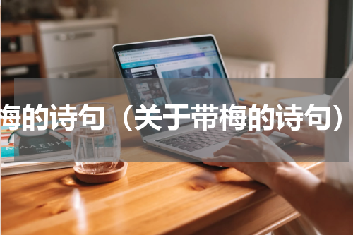 梅的诗句（关于带梅的诗句）