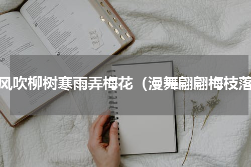 暖风吹柳树寒雨弄梅花（漫舞翩翩梅枝落）