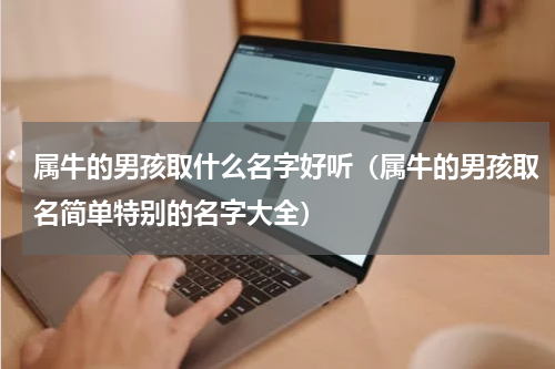 属牛的男孩取什么名字好听（属牛的男孩取名简单特别的名字大全）