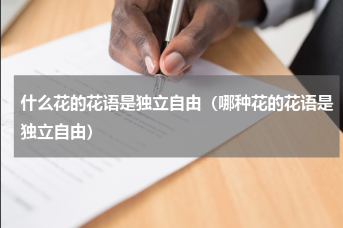 什么花的花语是独立自由（哪种花的花语是独立自由）