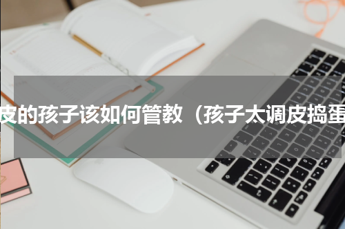 调皮的孩子该如何管教（孩子太调皮捣蛋）