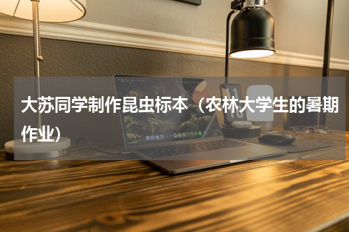 大苏同学制作昆虫标本（农林大学生的暑期作业）