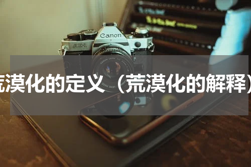 荒漠化的定义（荒漠化的解释）