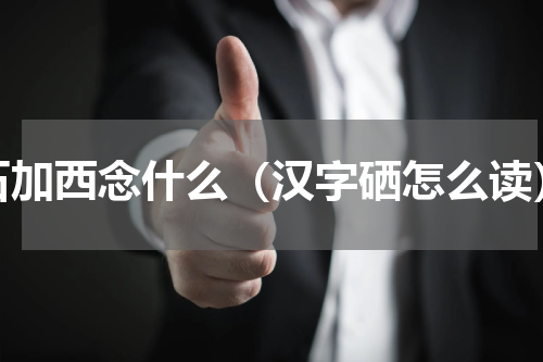 石加西念什么（汉字硒怎么读）