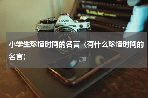 小学生珍惜时间的名言（有什么珍惜时间的名言）