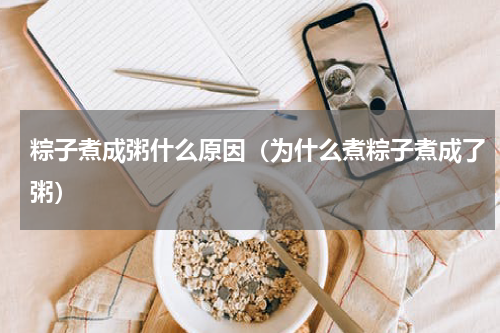 粽子煮成粥什么原因（为什么煮粽子煮成了粥）