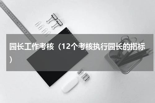 园长工作考核（12个考核执行园长的指标）