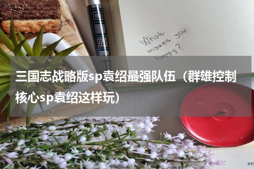 三国志战略版sp袁绍最强队伍（群雄控制核心sp袁绍这样玩）