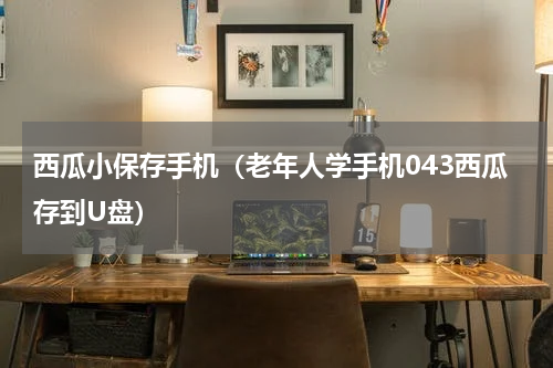 西瓜小保存手机（老年人学手机043西瓜存到U盘）