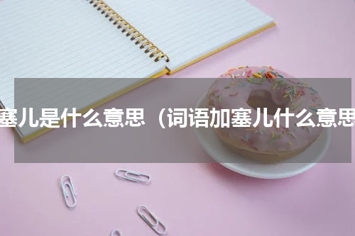 加塞儿是什么意思（词语加塞儿什么意思）