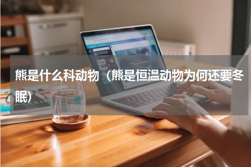 熊是什么科动物（熊是恒温动物为何还要冬眠）