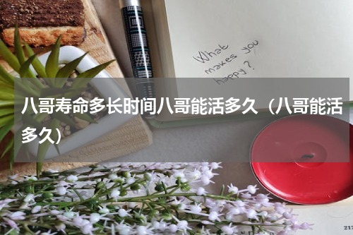 八哥寿命多长时间八哥能活多久（八哥能活多久）