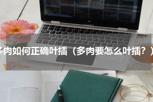 多肉如何正确叶插（多肉要怎么叶插？）