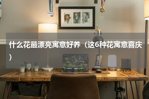 什么花最漂亮寓意好养（这6种花寓意喜庆）