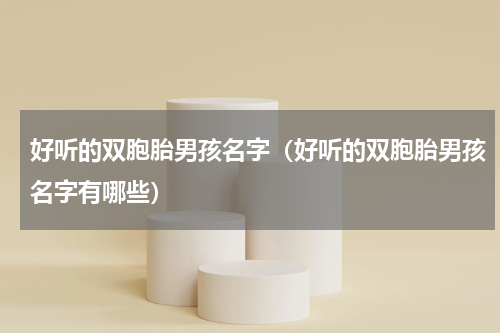 好听的双胞胎男孩名字（好听的双胞胎男孩名字有哪些）