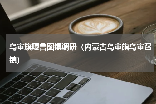 乌审旗嘎鲁图镇调研（内蒙古乌审旗乌审召镇）