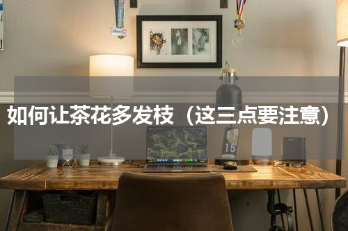 如何让茶花多发枝（这三点要注意）