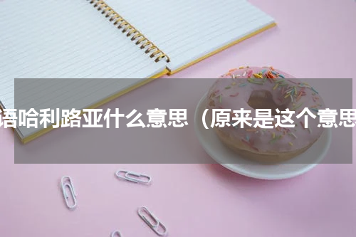 韩语哈利路亚什么意思（原来是这个意思）