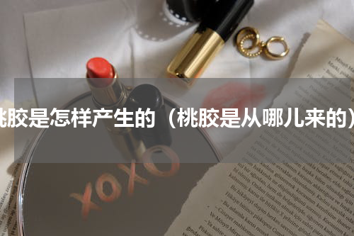 桃胶是怎样产生的（桃胶是从哪儿来的）