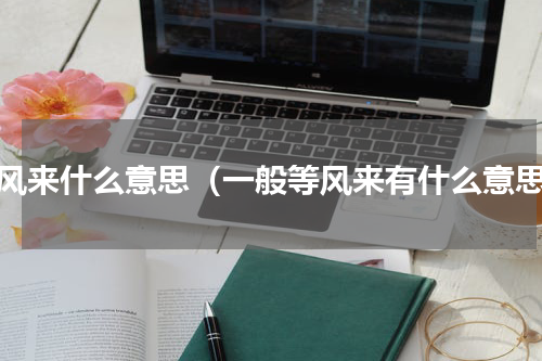 等风来什么意思（一般等风来有什么意思）