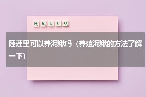 睡莲里可以养泥鳅吗（养殖泥鳅的方法了解一下）