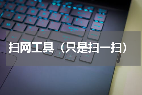扫网工具（只是扫一扫）