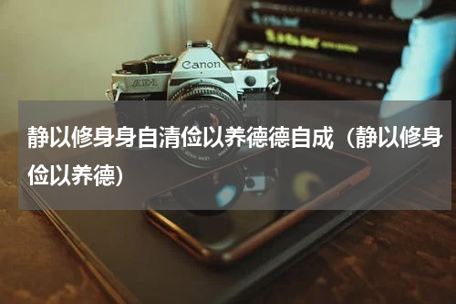 静以修身身自清俭以养德德自成（静以修身俭以养德）