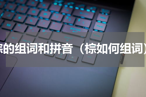 棕的组词和拼音（棕如何组词）
