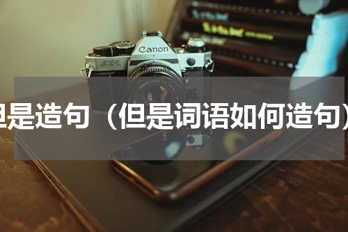 但是造句（但是词语如何造句）