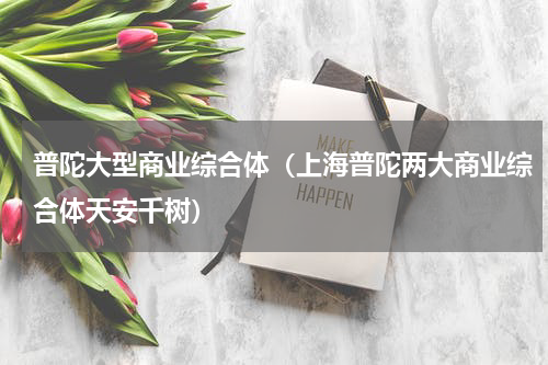 普陀大型商业综合体（上海普陀两大商业综合体天安千树）
