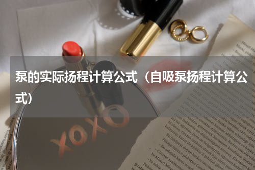 泵的实际扬程计算公式（自吸泵扬程计算公式）