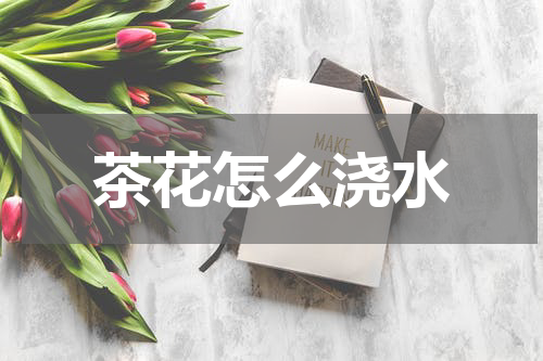 茶花怎么浇水