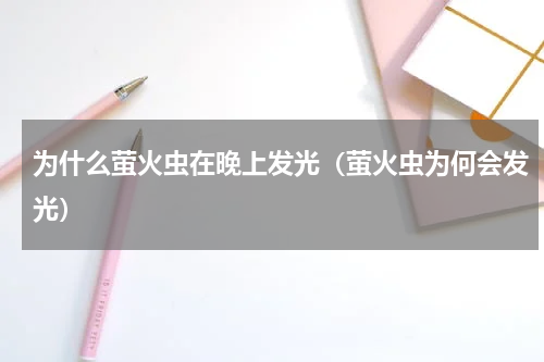 为什么萤火虫在晚上发光（萤火虫为何会发光）