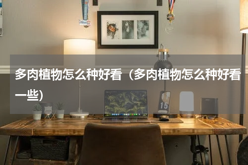 多肉植物怎么种好看（多肉植物怎么种好看一些）