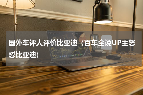 国外车评人评价比亚迪（百车全说UP主怒怼比亚迪）