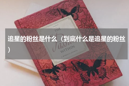 追星的粉丝是什么（到底什么是追星的粉丝）