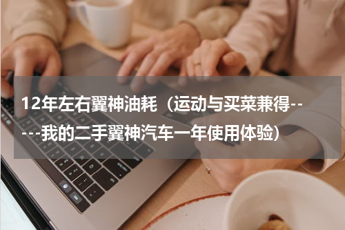 12年左右翼神油耗（运动与买菜兼得-----我的二手翼神汽车一年使用体验）