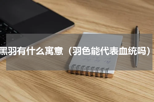黑羽有什么寓意（羽色能代表血统吗）
