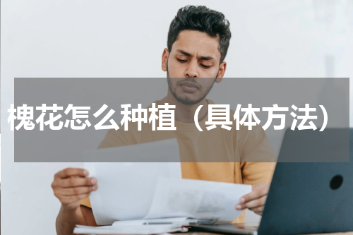 槐花怎么种植（具体方法）