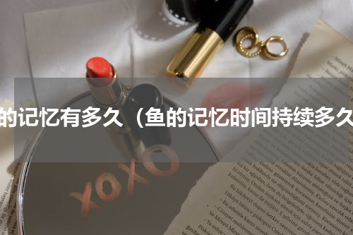鱼的记忆有多久（鱼的记忆时间持续多久）