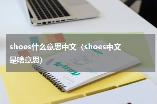 shoes什么意思中文（shoes中文是啥意思）