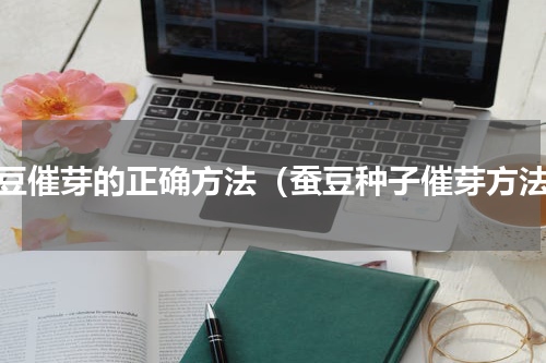 蚕豆催芽的正确方法（蚕豆种子催芽方法）
